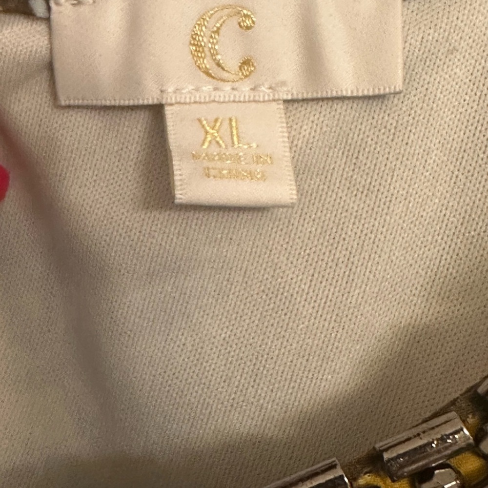 Charming Charlie Cream Maxi Dress